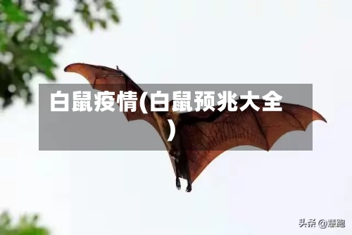 白鼠疫情(白鼠预兆大全)-第2张图片