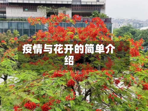 疫情与花开的简单介绍-第2张图片