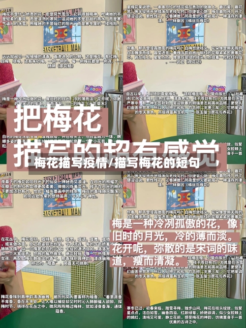 梅花描写疫情/描写梅花的短句-第2张图片