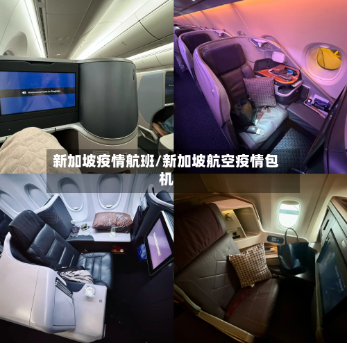 新加坡疫情航班/新加坡航空疫情包机
