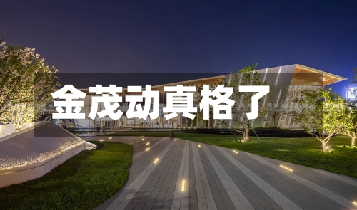 金茂动真格了-第2张图片