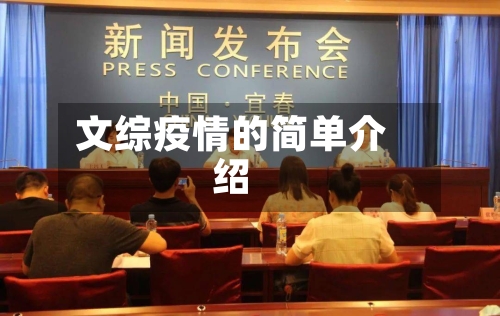 文综疫情的简单介绍