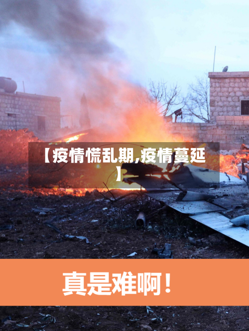 【疫情慌乱期,疫情蔓延】