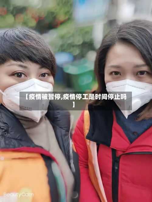 【疫情被暂停,疫情停工是时间停止吗】-第2张图片