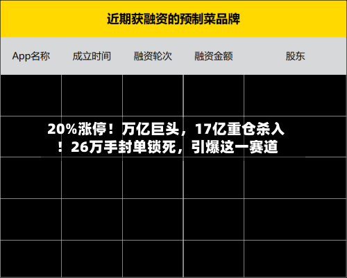 20%涨停！万亿巨头	，17亿重仓杀入！26万手封单锁死，引爆这一赛道-第2张图片