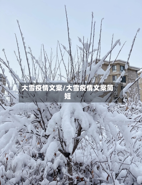 大雪疫情文案/大雪疫情文案简短