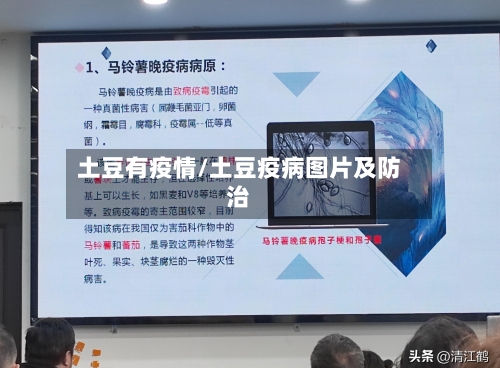 土豆有疫情/土豆疫病图片及防治-第2张图片