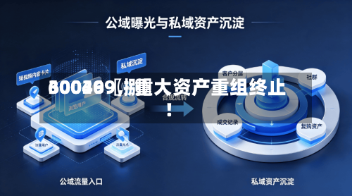 30036〖捌〗、600499，重大资产重组终止！