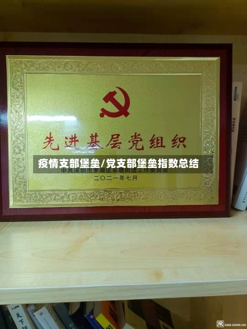 疫情支部堡垒/党支部堡垒指数总结