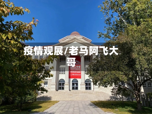 疫情观展/老马阿飞大哥-第3张图片