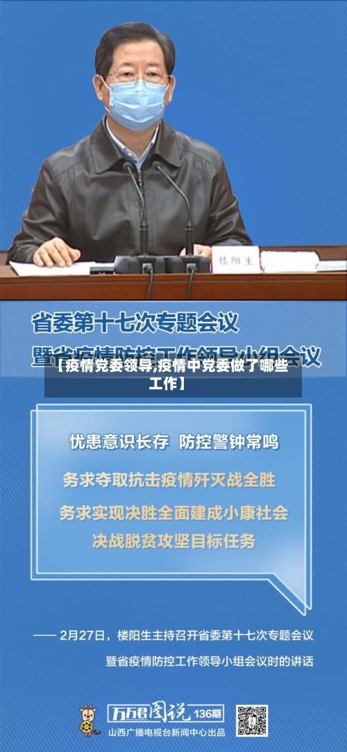【疫情党委领导,疫情中党委做了哪些工作】