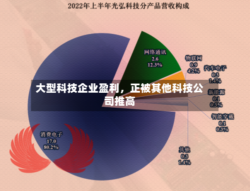 大型科技企业盈利，正被其他科技公司推高-第2张图片