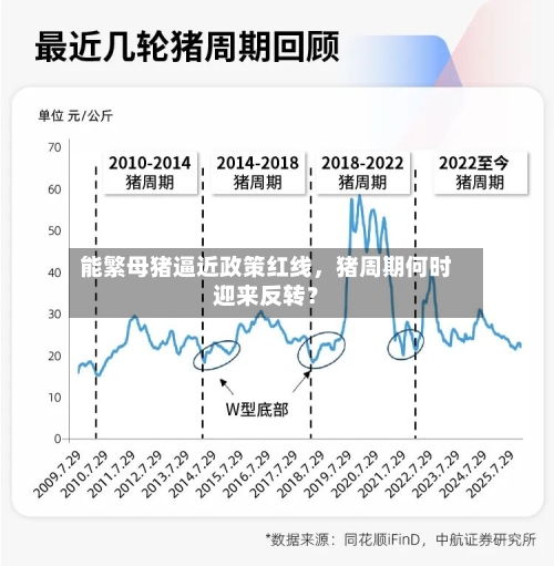 能繁母猪逼近政策红线	，猪周期何时迎来反转？-第2张图片