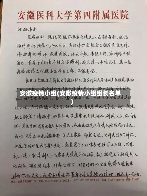 安徽疫情小组(安徽疫情小组组长名单)