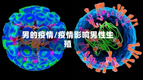 男的疫情/疫情影响男性生殖