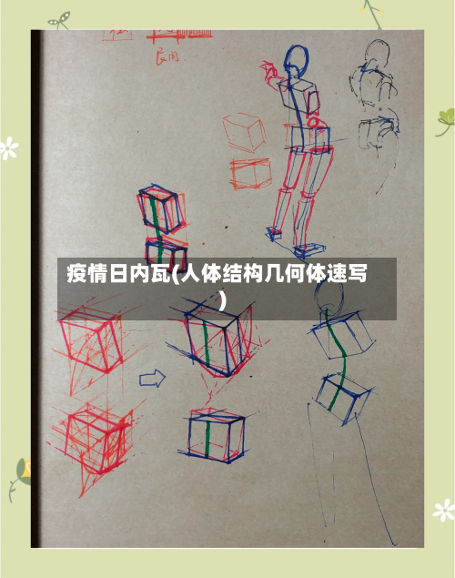 疫情日内瓦(人体结构几何体速写)