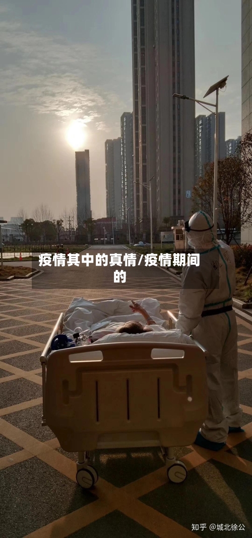 疫情其中的真情/疫情期间的