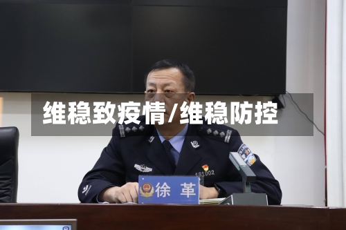 维稳致疫情/维稳防控-第2张图片