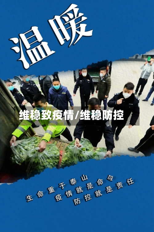 维稳致疫情/维稳防控
