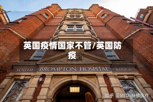 英国疫情国家不管/英国防疫-第3张图片