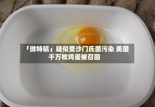 「微特稿」疑似受沙门氏菌污染 美国千万枚鸡蛋被召回
