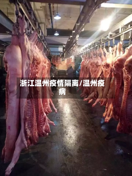 浙江温州疫情隔离/温州疫病