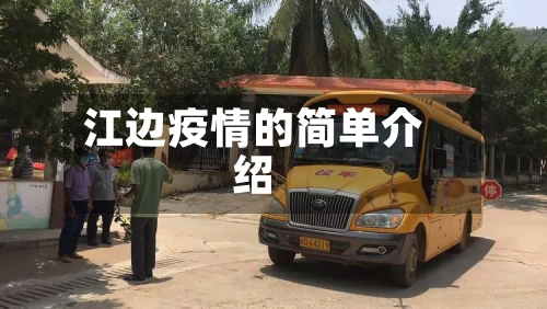 江边疫情的简单介绍-第2张图片
