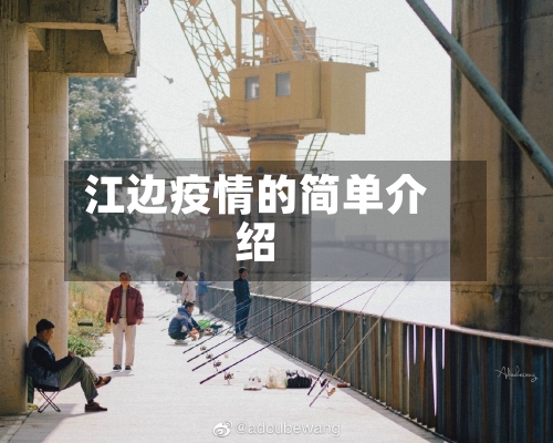 江边疫情的简单介绍-第3张图片