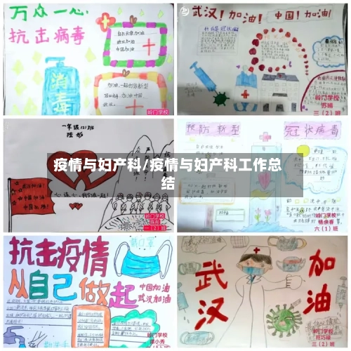 疫情与妇产科/疫情与妇产科工作总结-第2张图片