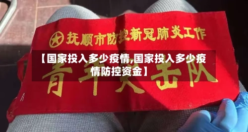 【国家投入多少疫情,国家投入多少疫情防控资金】-第2张图片