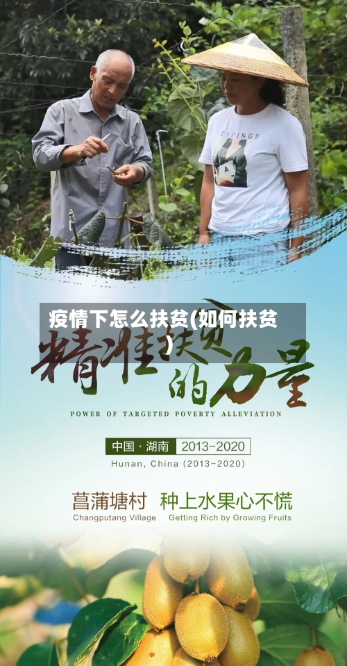 疫情下怎么扶贫(如何扶贫)-第2张图片