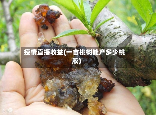 疫情直播收益(一亩桃树能产多少桃胶)