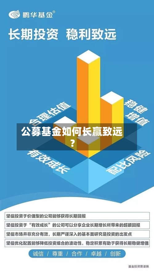 公募基金如何长赢致远?-第3张图片