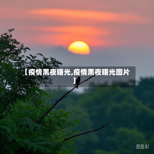 【疫情黑夜曙光,疫情黑夜曙光图片】-第2张图片
