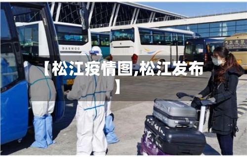 【松江疫情图,松江发布】