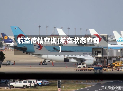 航空疫情查询(航空状态查询)-第2张图片