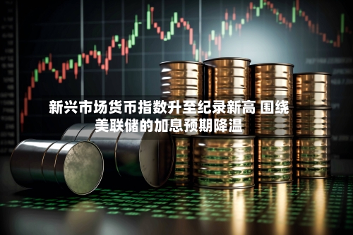 新兴市场货币指数升至纪录新高 围绕美联储的加息预期降温