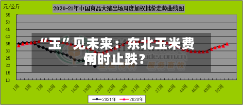 “玉”见未来：东北玉米费用何时止跌？-第3张图片