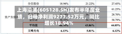 上海沿浦(605128.SH)发布半年度业绩	，归母净利润9277.52万元，同比增长18.94%-第3张图片