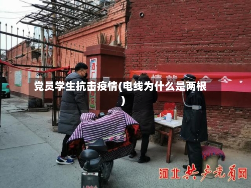 党员学生抗击疫情(电线为什么是两根)-第2张图片