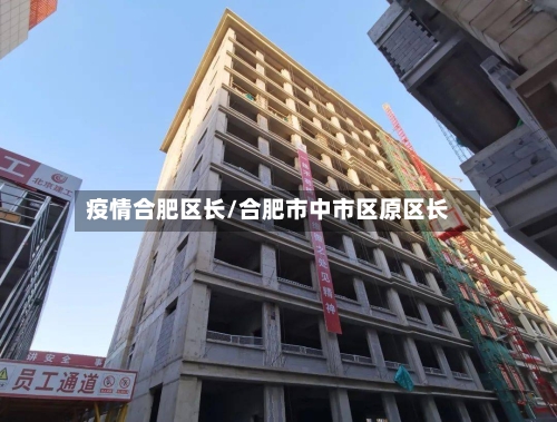疫情合肥区长/合肥市中市区原区长