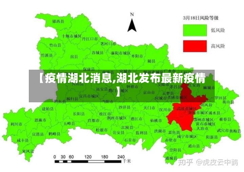 【疫情湖北消息,湖北发布最新疫情】-第3张图片