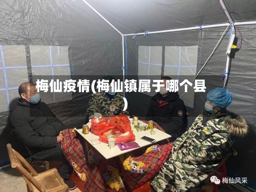 梅仙疫情(梅仙镇属于哪个县)-第2张图片