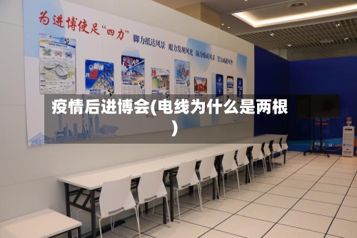 疫情后进博会(电线为什么是两根)-第3张图片