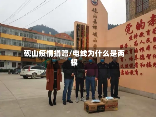 砚山疫情捐赠/电线为什么是两根