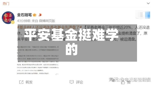 平安基金挺难学的-第2张图片