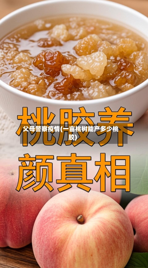 父母警察疫情(一亩桃树能产多少桃胶)