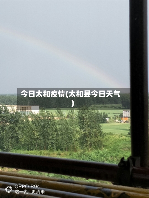 今日太和疫情(太和县今日天气)-第2张图片