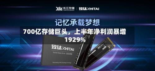 700亿存储巨头，上半年净利润暴增1929%-第3张图片