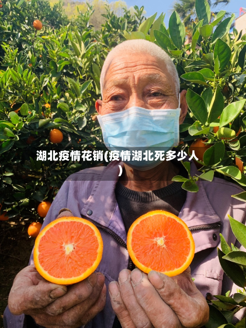 湖北疫情花销(疫情湖北死多少人)-第2张图片